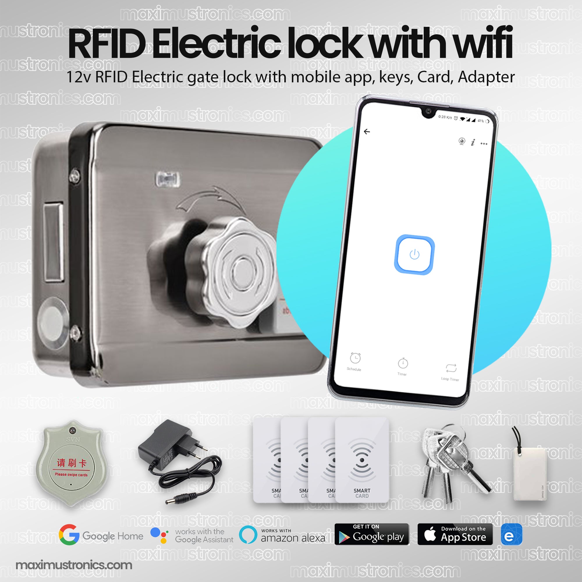 RFID Wifi ewelink Electric rim door lock main gate lock 12V DC rfid card and tag 125Khz with keys for Office and home Security use