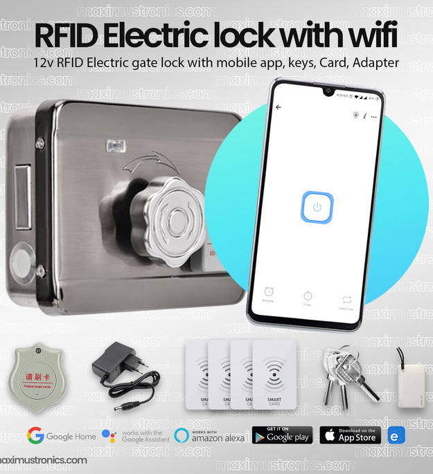 RFID Wifi ewelink Electric rim door lock main gate lock 12V DC rfid card and tag 125Khz with keys for Office and home Security use