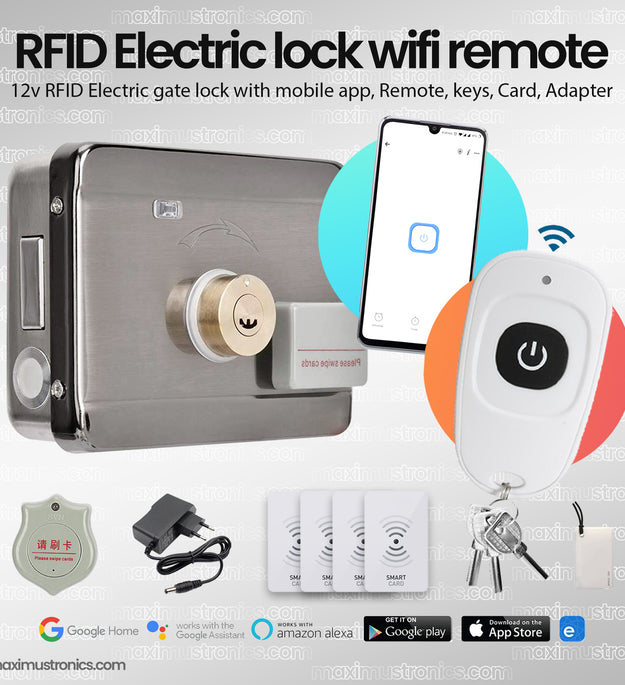 RFID WIFI RF433mhz Remote control Electric rim door lock main gate lock 12V DC rfid card and tag 125Khz with keys for Office and home Security use