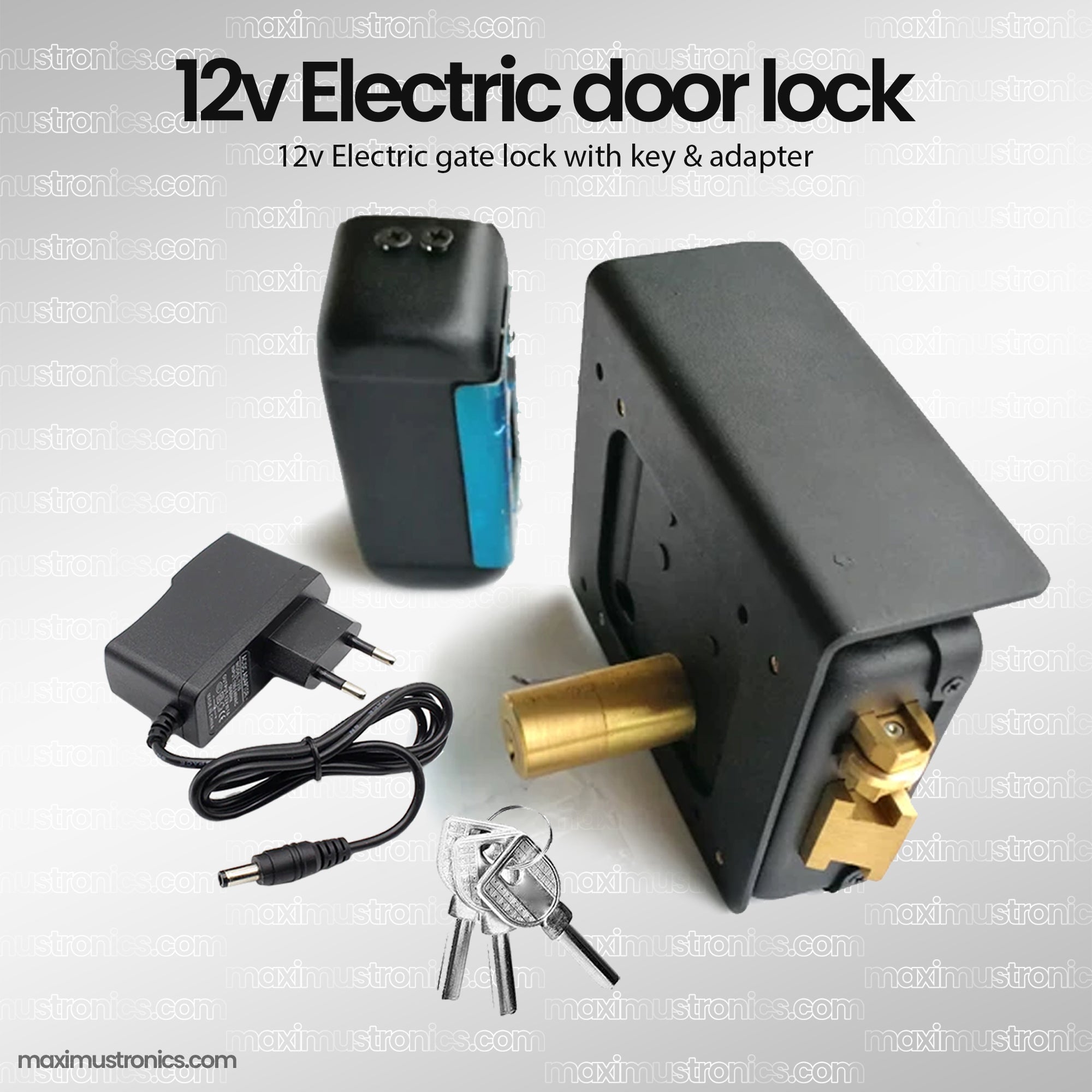 12V electric main gate lock door lock with adapter and keys - install on both side right inside inward outward, left inside inward outward